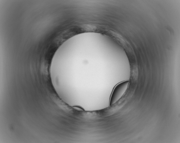 X0000112390525200909032016