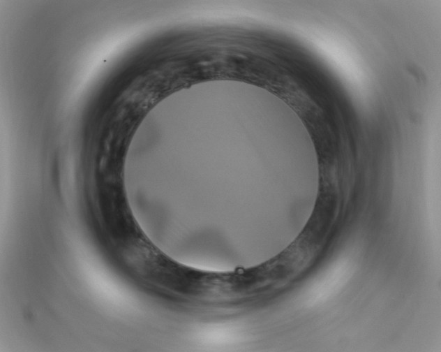 X0000112390526200909032016