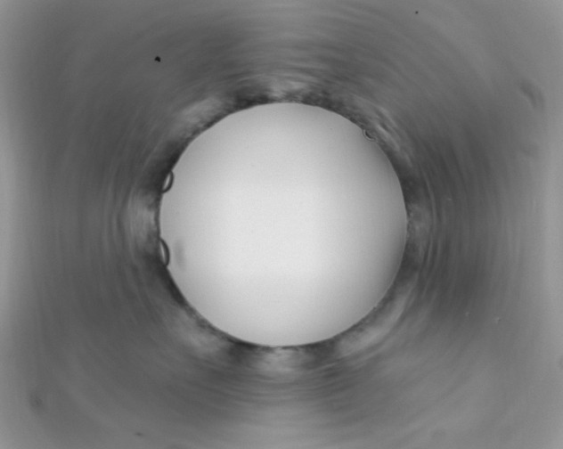 X0000112390527200909032016