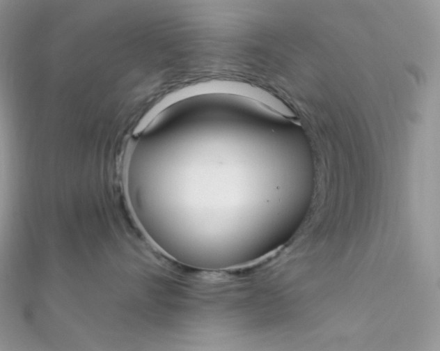 X0000112390528200909032016