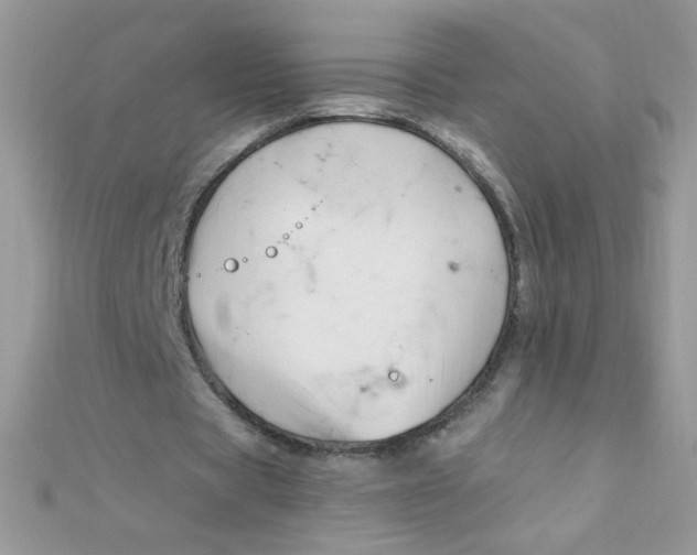 X0000112390529200909032016