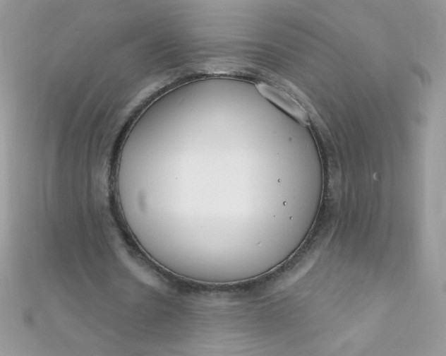 X0000112390530200909032016