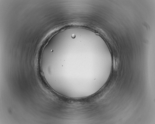 X0000112390531200909032016