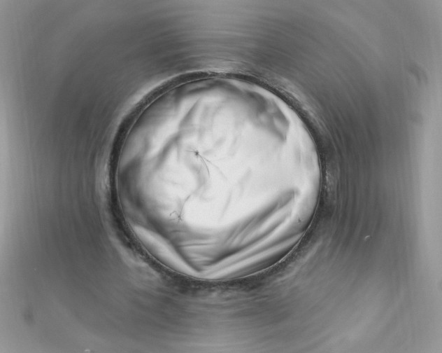 X0000112390532200909032016