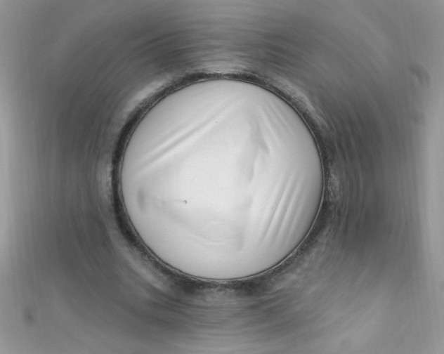 X0000112390535200909032016