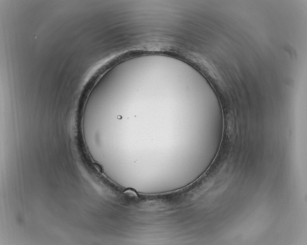 X0000112390536200909032016