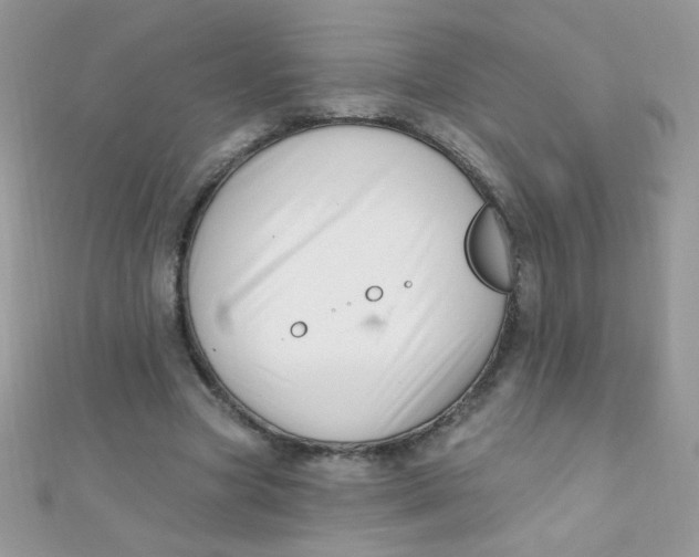 X0000112390537200909032016