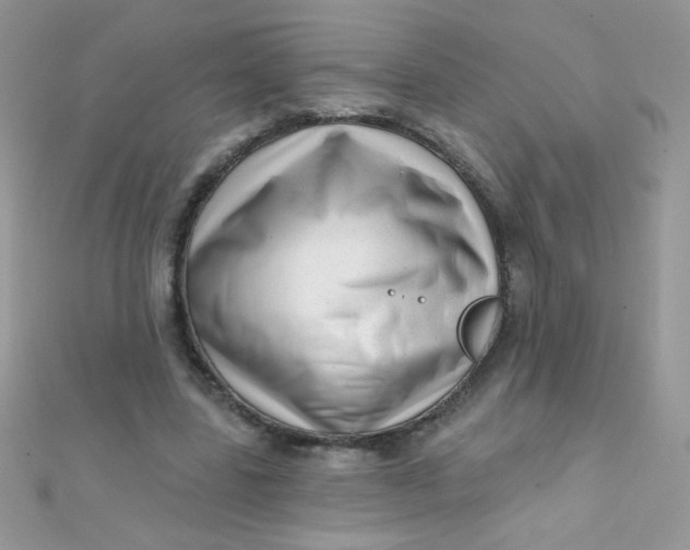 X0000112390539200909032016