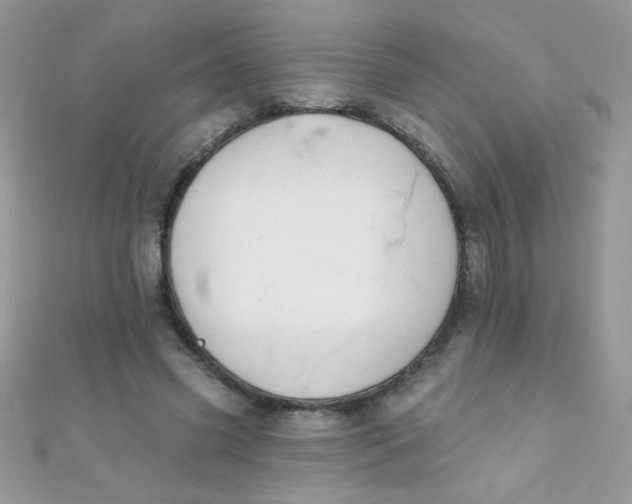 X0000112390541200909032016