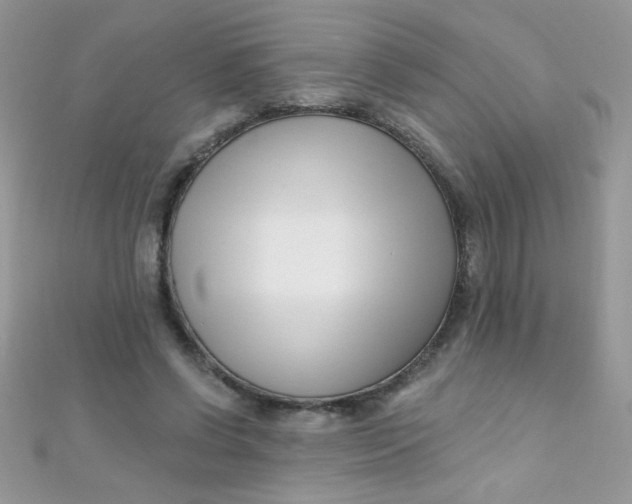 X0000112390542200909032016