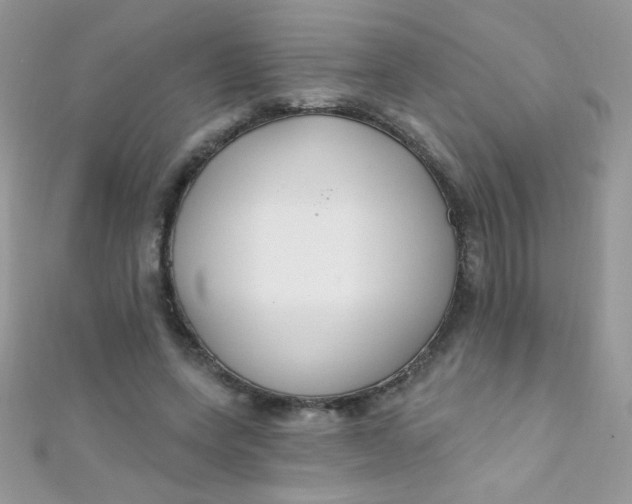 X0000112390543200909032016