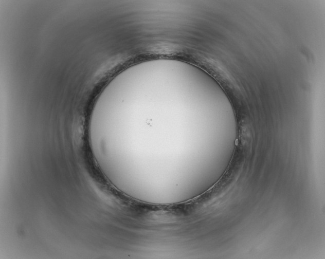 X0000112390544200909032016