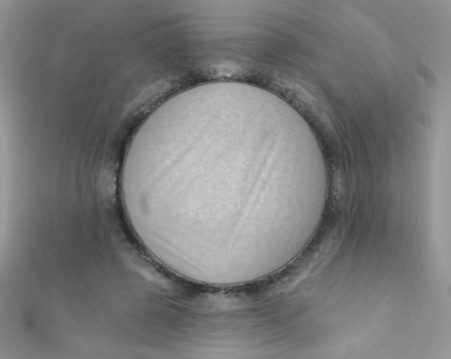 X0000112390545200909032016