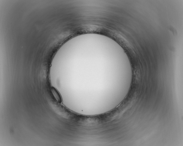 X0000112390546200909032016