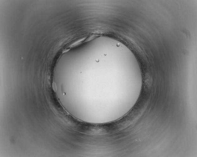 X0000112390547200909032016