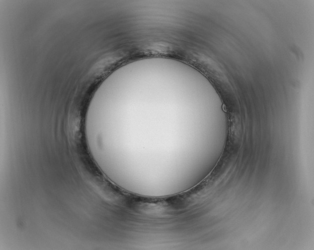 X0000112390548200909032016