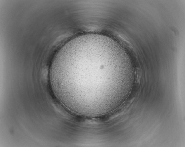 X0000112390550200909032016