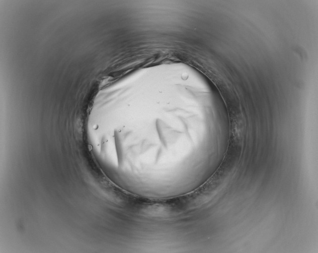 X0000112390551200909032016