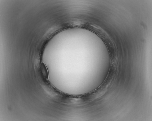 X0000112390552200909032016