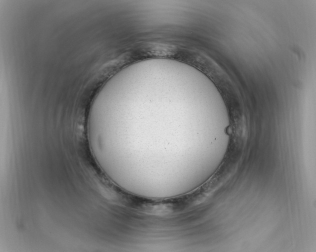 X0000112390553200909032016