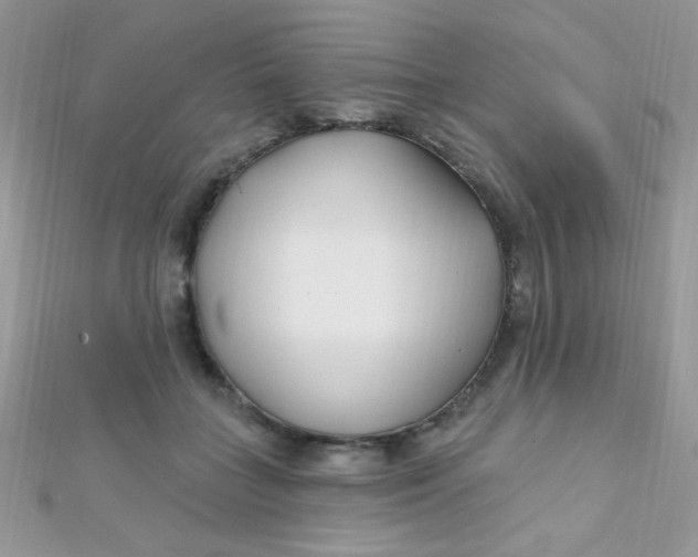 X0000112390555200909032016