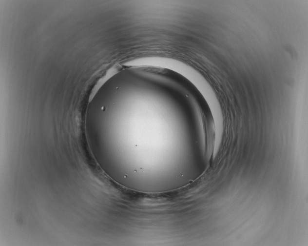 X0000112390556200909032016