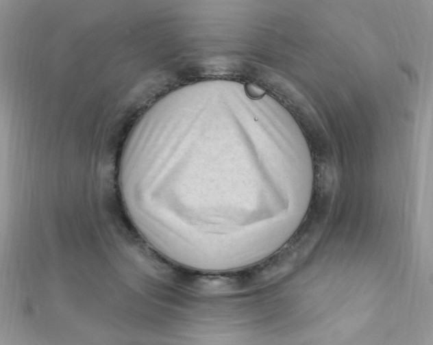 X0000112390557200909032016