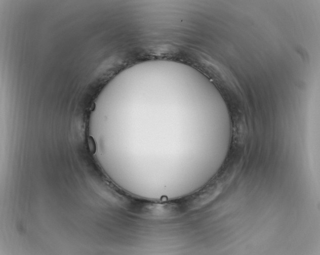 X0000112390558200909032016