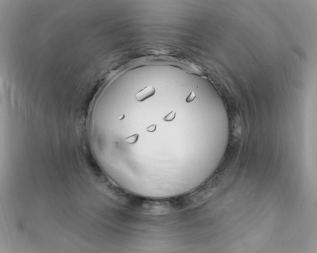 X0000112390559200909032016