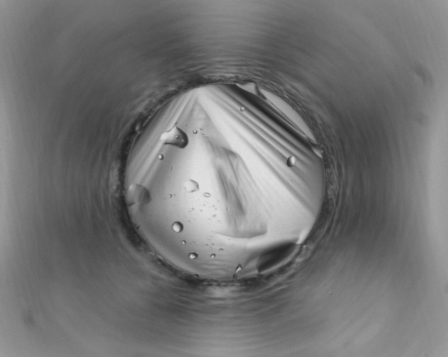 X0000112390560200909032016