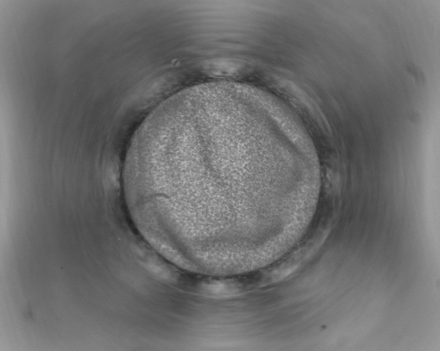 X0000112390561200909032016