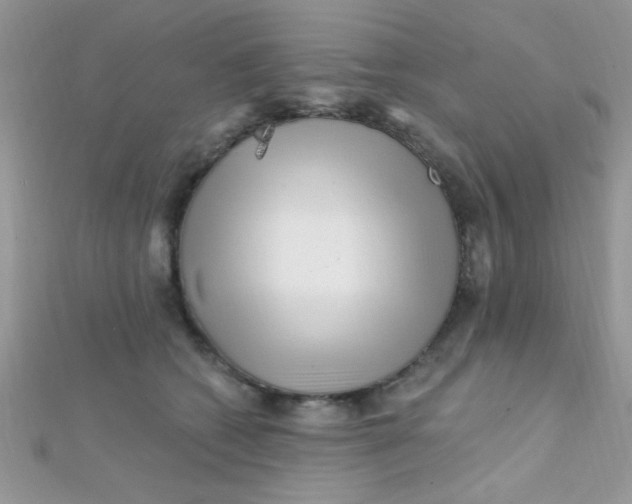 X0000112390562200909032016