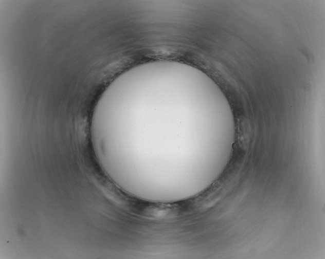 X0000112390563200909032016