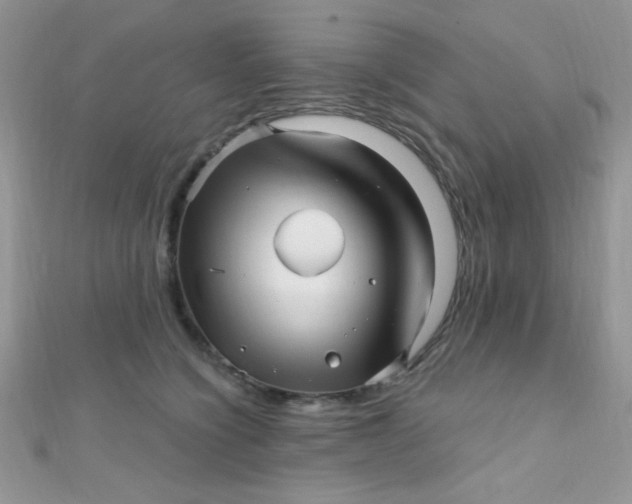 X0000112390564200909032016