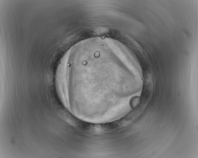 X0000112390565200909032016