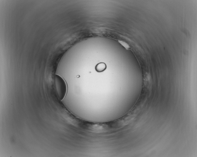 X0000112390566200909032016