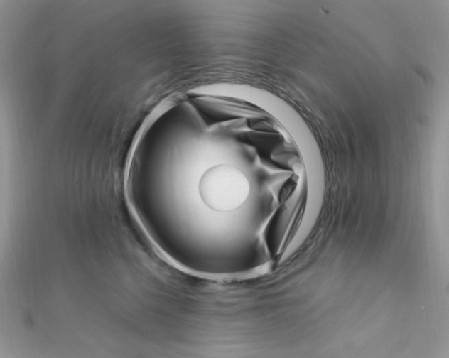 X0000112390568200909032016