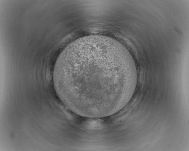 X0000112390569200909032016