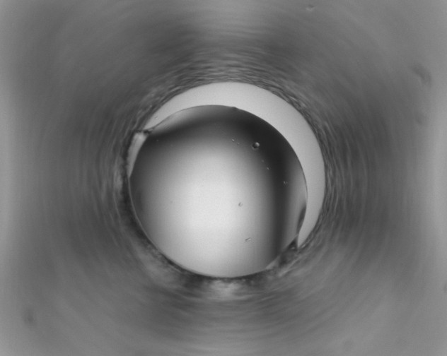 X0000112390570200909032016