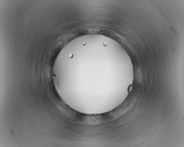 X0000112390571200909032016