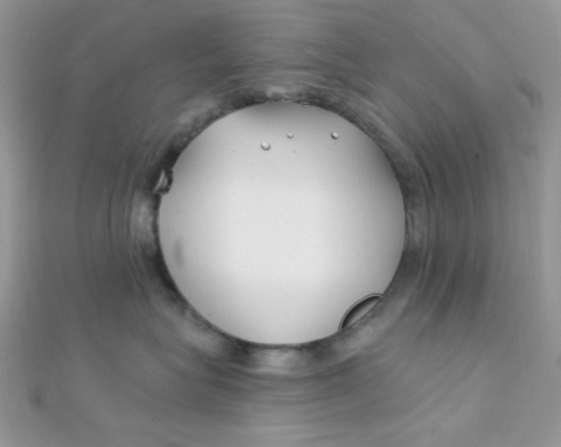 X0000112390575200909032016