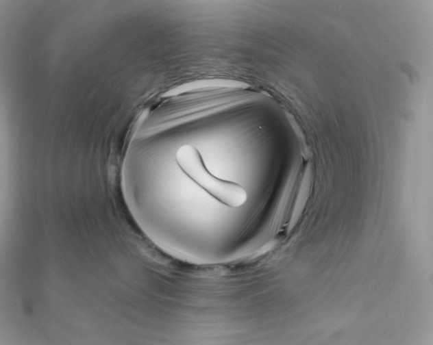 X0000112390576200909032016