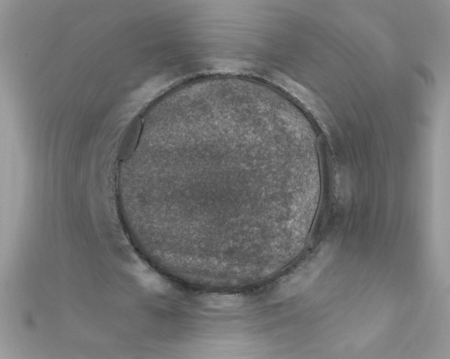 X0000112390577200909032016