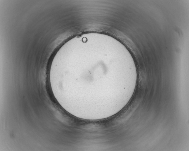 X0000112390578200909032016