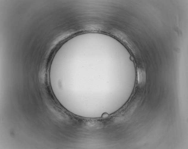 X0000112390579200909032016