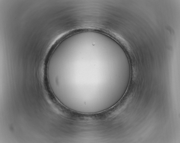 X0000112390580200909032016