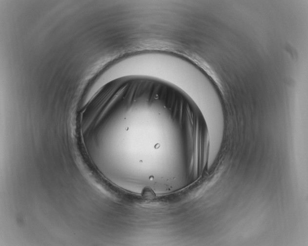 X0000112390581200909032015