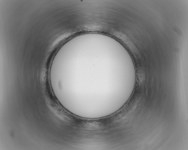 X0000112390583200909032015