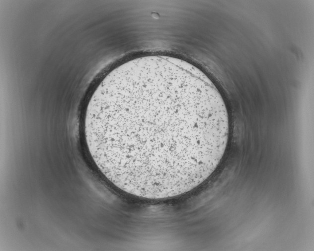 X0000112390584200909032015