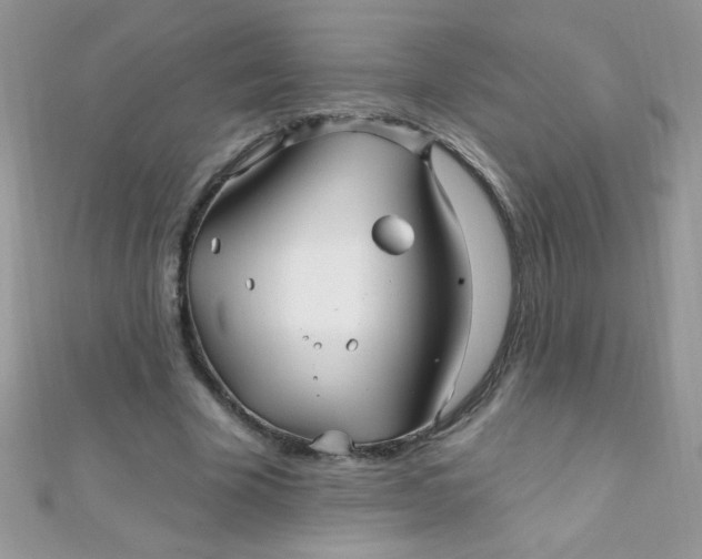 X0000112390585200909032015